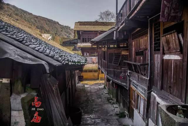 战锤：全面战争2